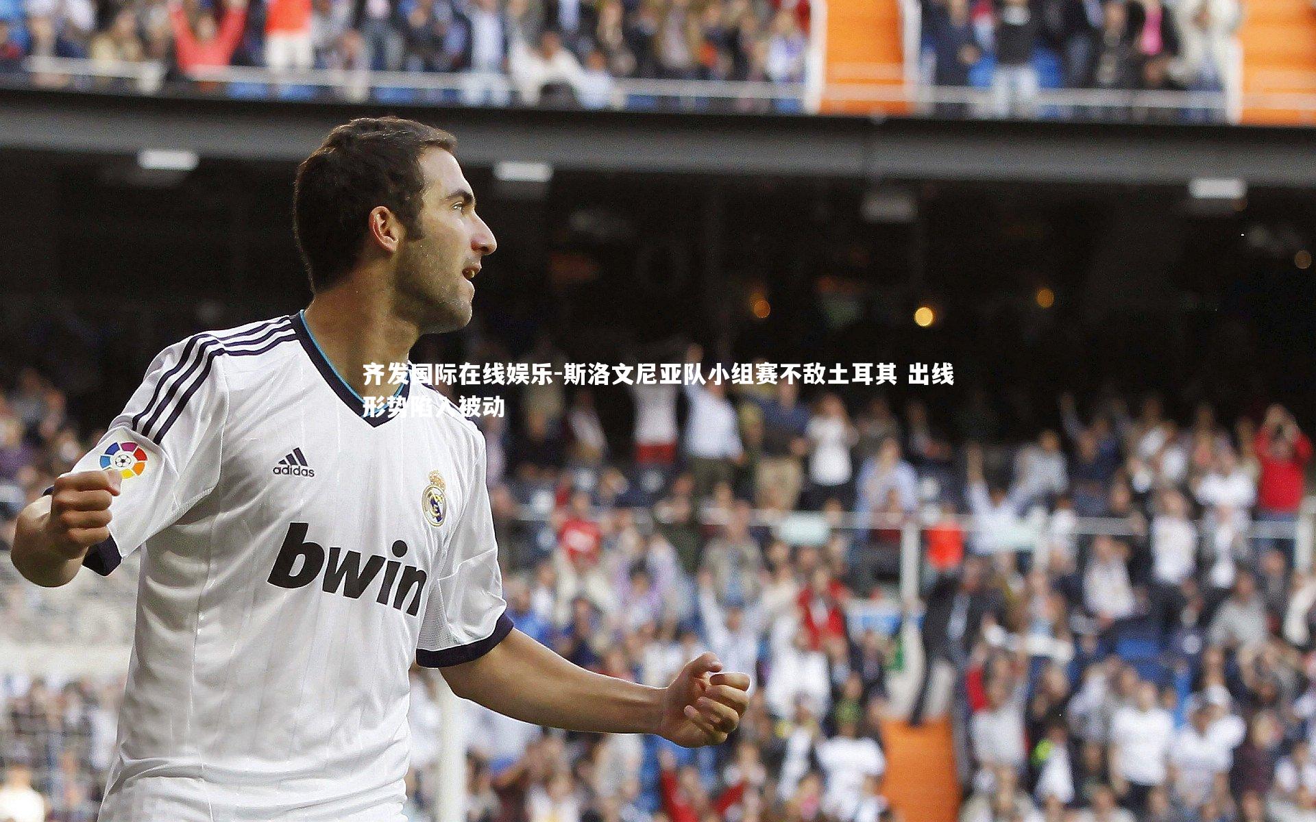 斯洛文尼亚队小组赛不敌土耳其 出线形势陷入被动