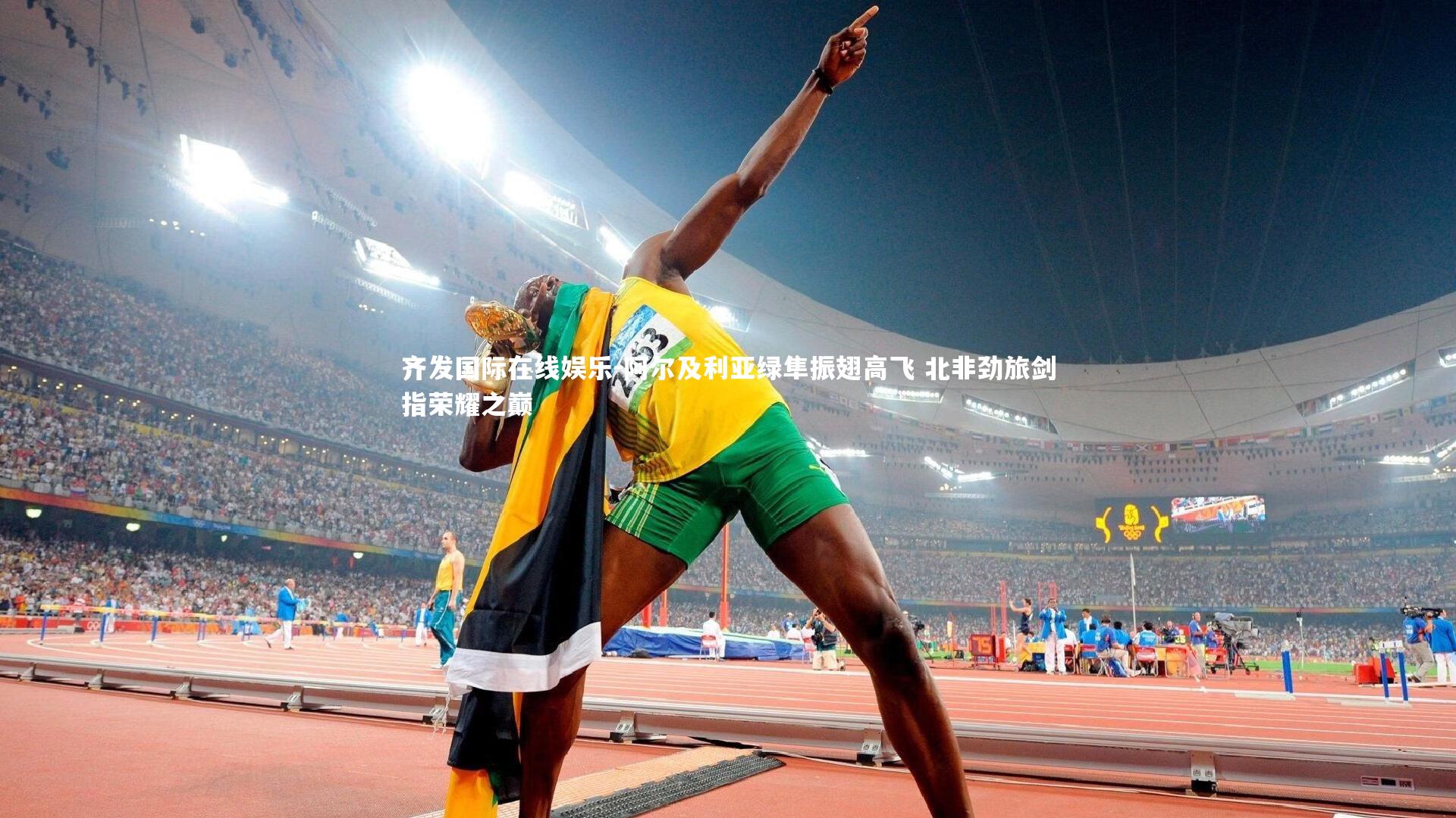 阿尔及利亚绿隼振翅高飞 北非劲旅剑指荣耀之巅